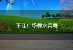 王江广场舞水兵舞