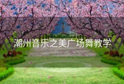 潮州音乐之美广场舞教学