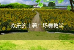 欢乐的土著广场舞教学