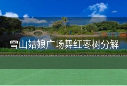雪山姑娘广场舞红枣树分解