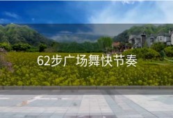 62步广场舞快节奏