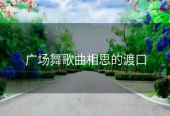 广场舞歌曲相思的渡口
