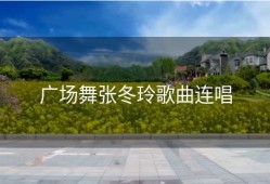 广场舞张冬玲歌曲连唱