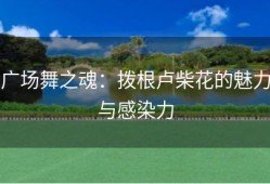 广场舞之魂：拨根卢柴花的魅力与感染力