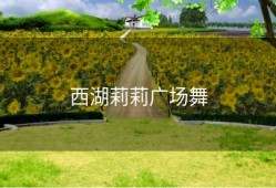 西湖莉莉广场舞