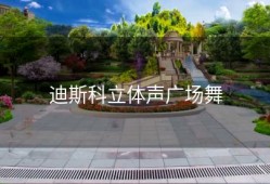 迪斯科立体声广场舞