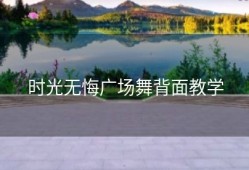 时光无悔广场舞背面教学