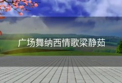 广场舞纳西情歌梁静茹