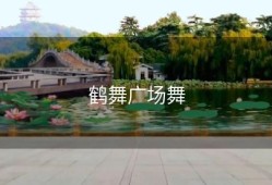 鹤舞广场舞