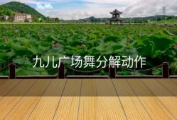 九儿广场舞分解动作