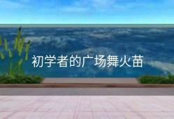 初学者的广场舞火苗