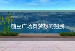 糖豆广场舞梦想的翅膀