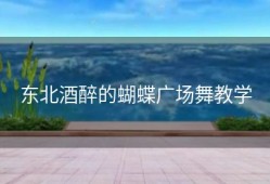 东北酒醉的蝴蝶广场舞教学