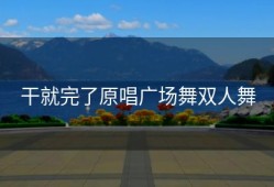 干就完了原唱广场舞双人舞