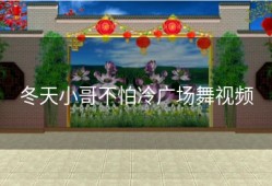 冬天小哥不怕冷广场舞视频