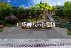 广场舞7步小视频