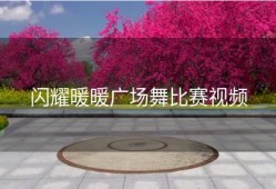 闪耀暖暖广场舞比赛视频