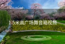 1.5米高广场舞音箱视频