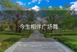 今生相伴广场舞