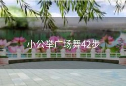小公举广场舞42步