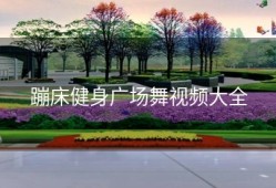 蹦床健身广场舞视频大全