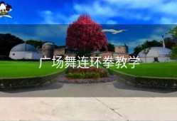 广场舞连环拳教学