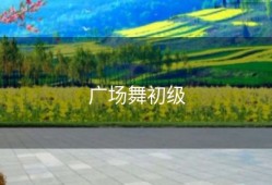 广场舞初级