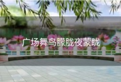 广场舞鸟朦胧夜蒙眬