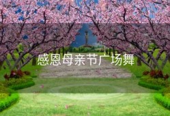 感恩母亲节广场舞