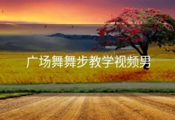 广场舞舞步教学视频男
