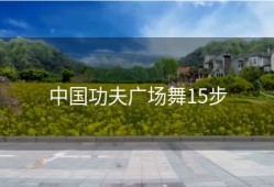 中国功夫广场舞15步