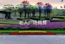 老人广场舞舞