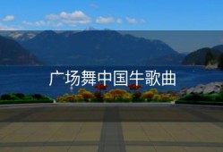 广场舞中国牛歌曲