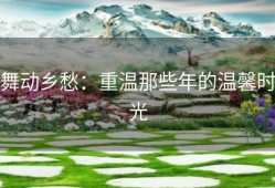 舞动乡愁：重温那些年的温馨时光
