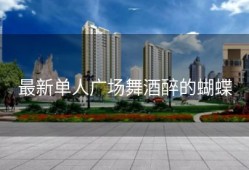最新单人广场舞酒醉的蝴蝶