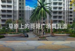 草原上的哥哥广场舞背面