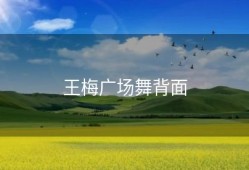 王梅广场舞背面
