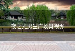 夜之光男生广场舞视频