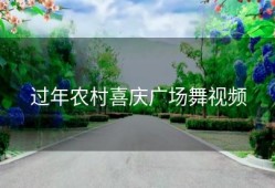 过年农村喜庆广场舞视频