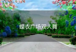 蝶衣广场双人舞
