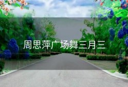 周思萍广场舞三月三