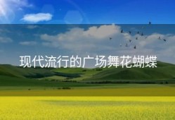 现代流行的广场舞花蝴蝶