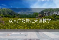 双人广场舞走天涯教学