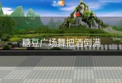 糖豆广场舞把酒倒满