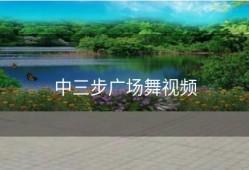 中三步广场舞视频