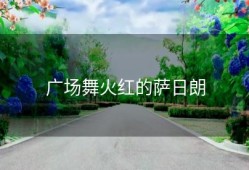 广场舞火红的萨日朗