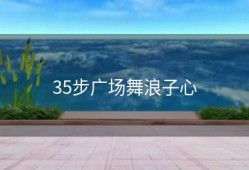 35步广场舞浪子心