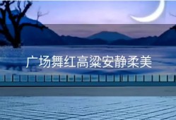 广场舞红高粱安静柔美