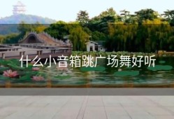 什么小音箱跳广场舞好听