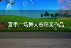 夏季广场舞大赛获奖作品